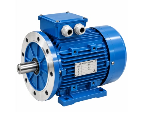 Flange Mounted Motor