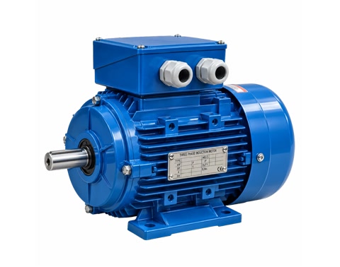 Foot Mounted Motor