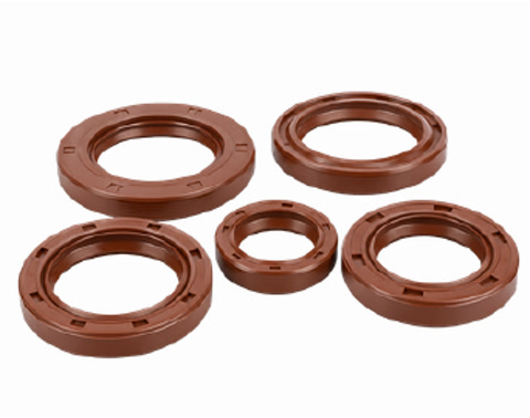 Viton Oil Seals